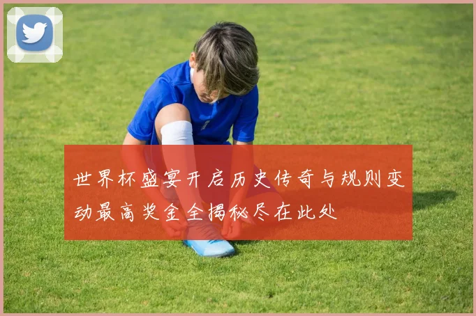 世界杯盛宴开启历史传奇与规则变动最高奖金全揭秘尽在此处
