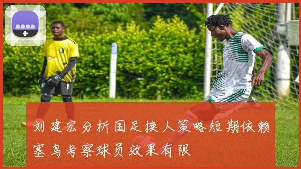 刘建宏分析国足换人策略短期依赖塞鸟考察球员效果有限