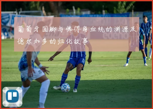 葡萄牙国脚与佛得角血统的渊源及德尔加多的归化故事